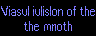 Visual Illusion of the Month