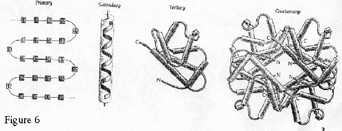 \includegraphics{lec01_figs/figure6_small.ps}