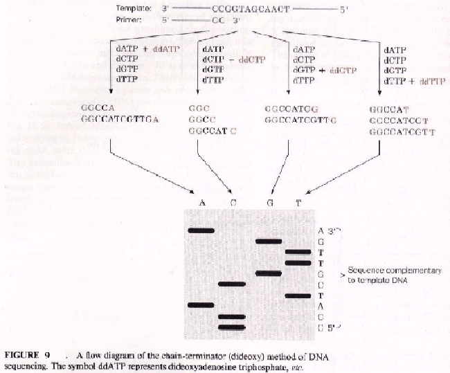 \includegraphics{lec01_figs/figure9.ps}