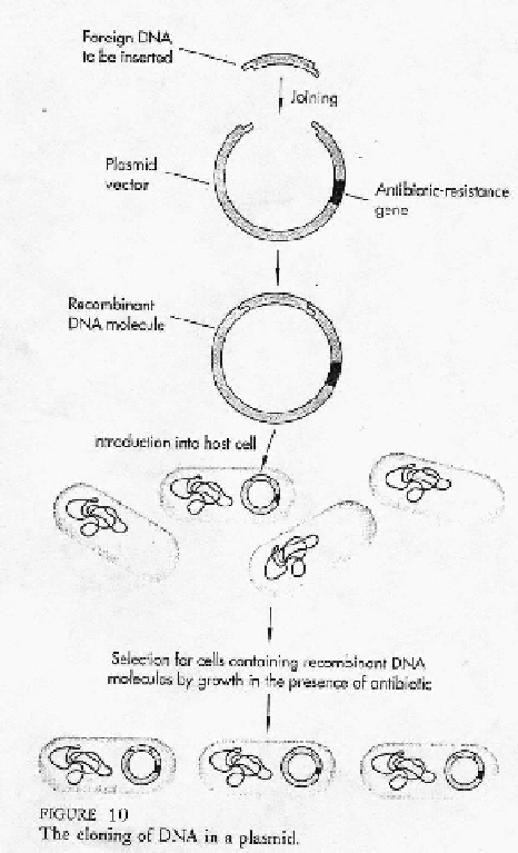 \includegraphics{lec01_figs/figure10.ps}