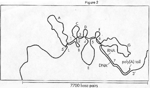 \includegraphics{lec01_figs/figure2_small.ps}