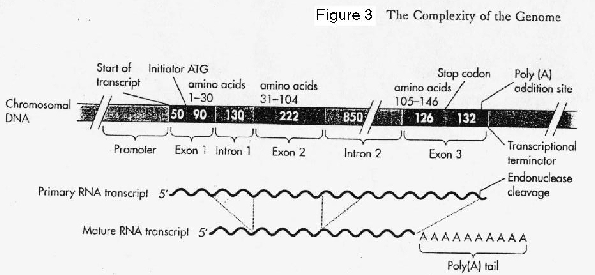 \includegraphics{lec01_figs/figure3_small.ps}
