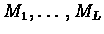 $M_{1},\ldots,M_{L}$