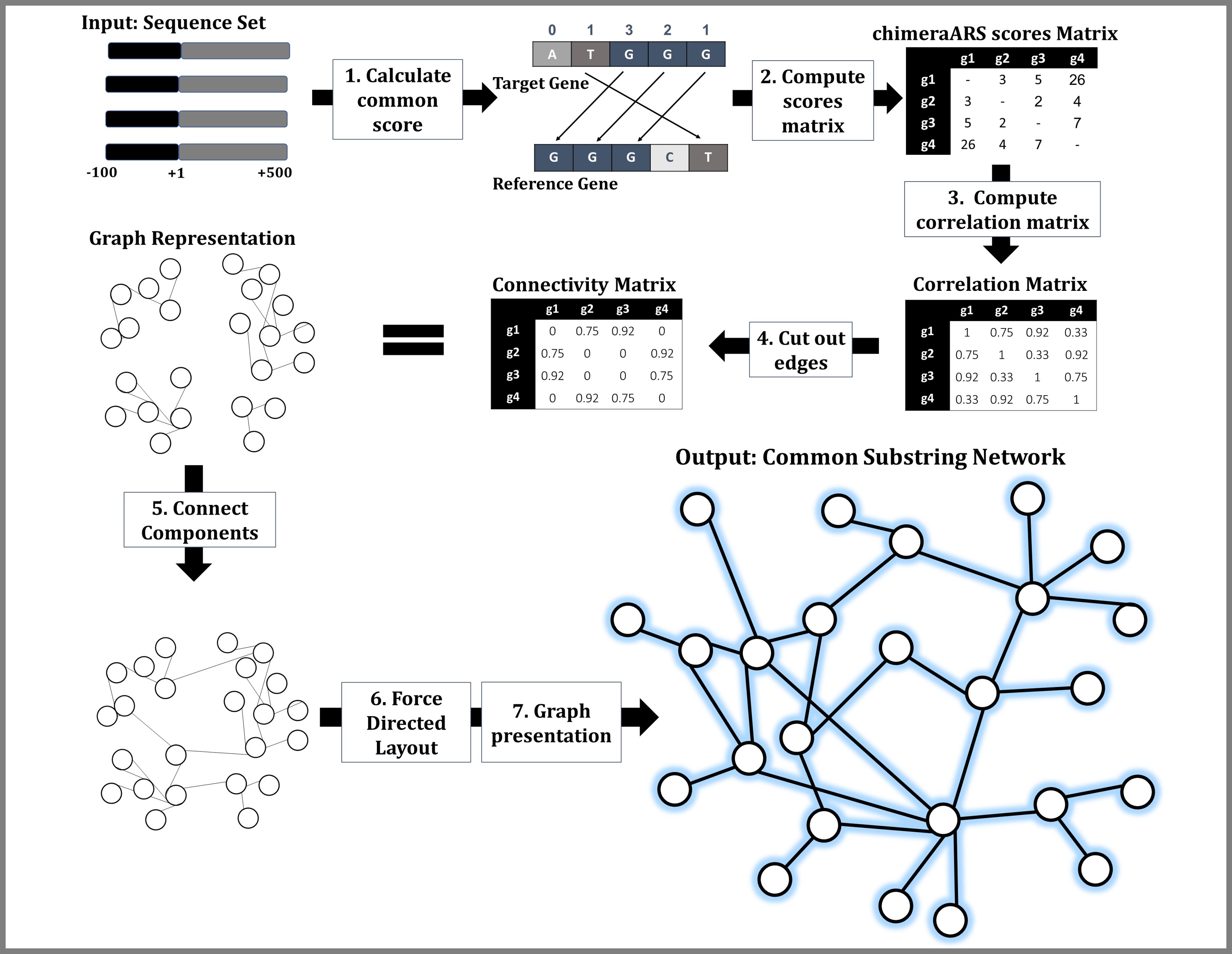 CSN - Common Substring Network