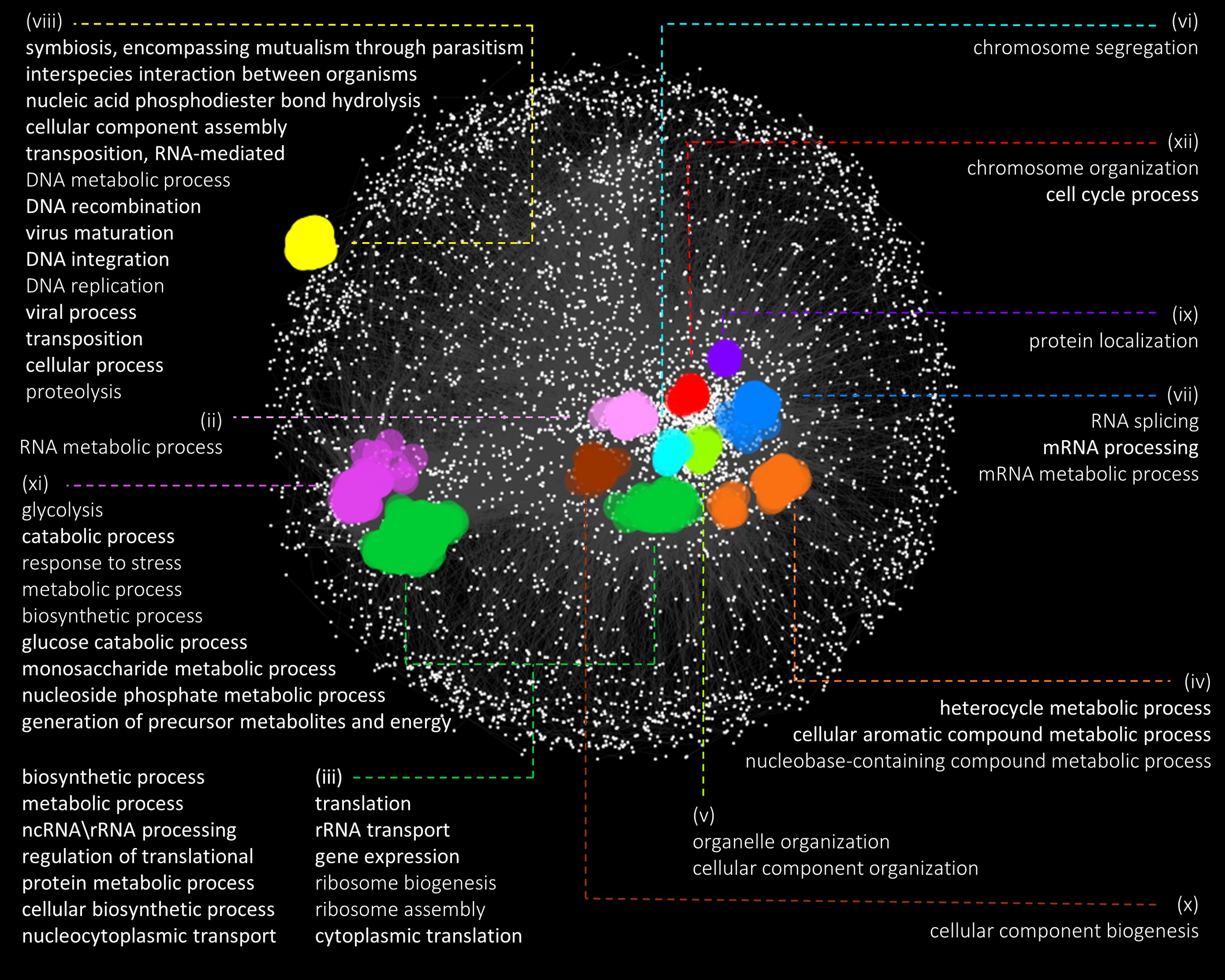 CSN - Common Substring Network